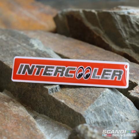 ΚΑΡΦΙΤΣΑ INTERCOOLER PIN15